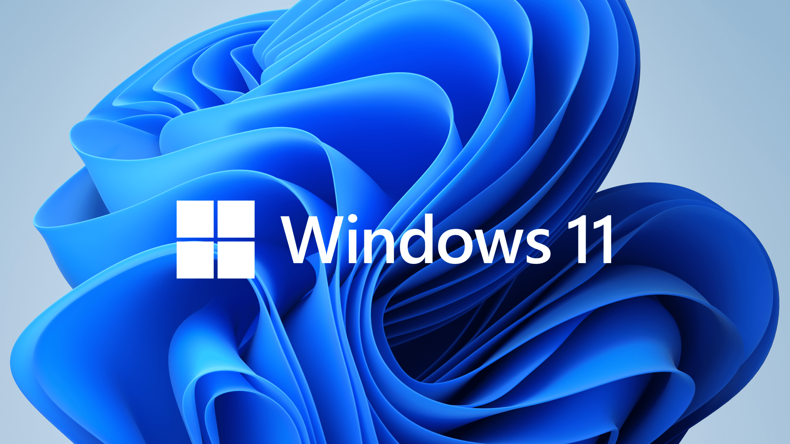 What Are The Features Of Windows 11?